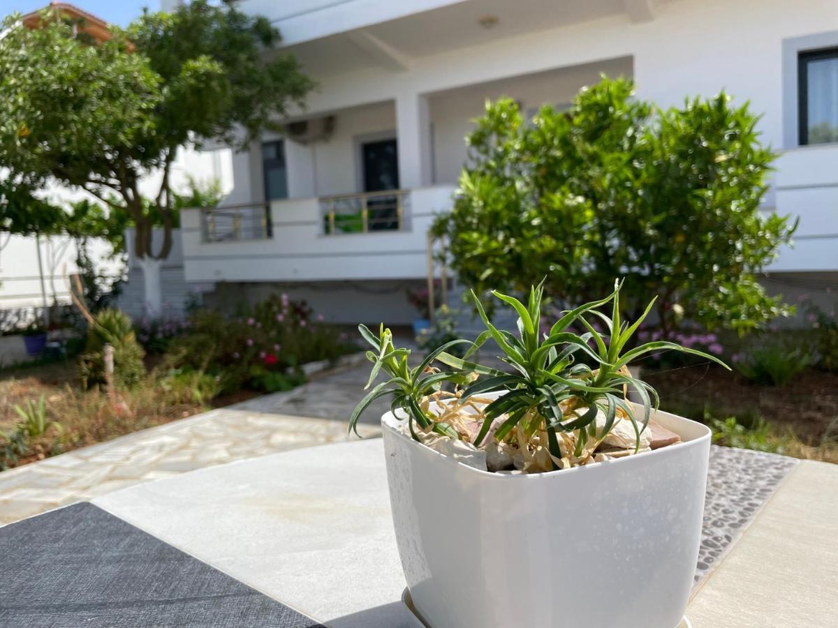 Villa Soni Oruci Εξαμίλιο Εξωτερικό φωτογραφία